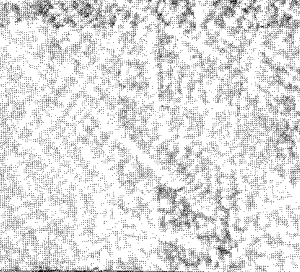 Macro-structure of cast steel revea-ling large prirmary 
            austenite crystals due to presence of impurities (x4)