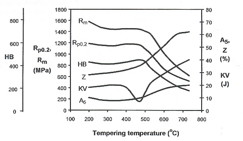  of a martensitic stainless steel AISI 431 is shown in Figure 2.