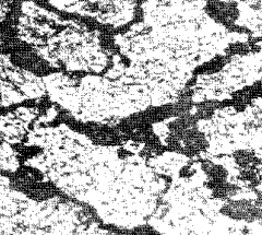 Nodular troostite in martensite