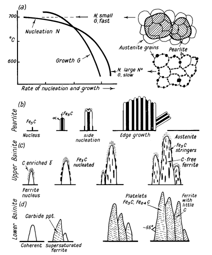 Effect of different speeds of nucleation and growth on formation of pearlite colonies