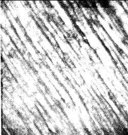 Lathe martensite formed in 0,08°C steel quenched in brine from 100°C