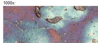Immagini metallografiche: Step 4